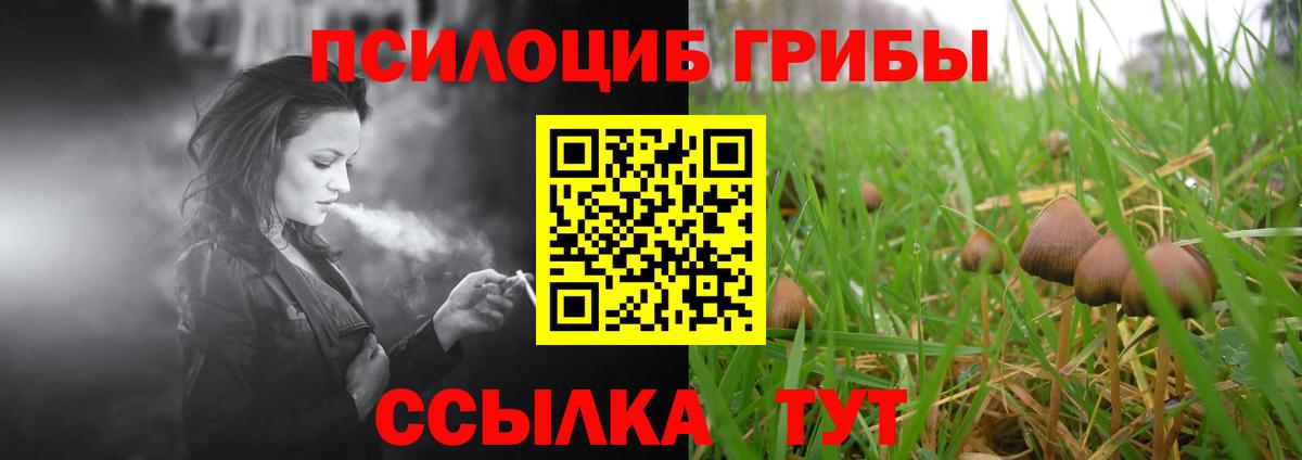 Галлюциногенные грибы GOLDEN TEACHER  Вход с VPN  Южноуральск 